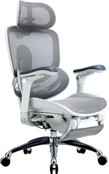 Крісло офісне ергономічне Sihoo DORO C300 PRO V2 з підніжкою White (4820216980172)