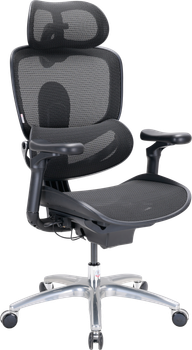 Крісло офісне ергономічне Sihoo DORO C300 LITE V2 Чорне (4820216980103)