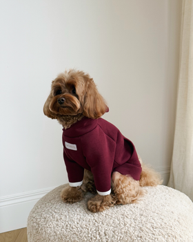 Худи для собаки с начёсом бордовое “Hugme” Feel with Fill, размер XS