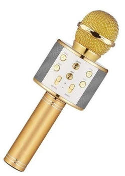 Ручной караоке-микрофон DM Karaoke WS-858 с Bluetooth подключением 3996