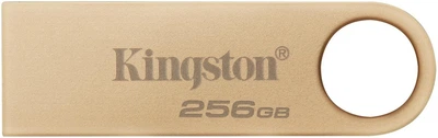Накопитель Kingston 256GB USB 3.2 Type-A Gen1 DT SE9 G3