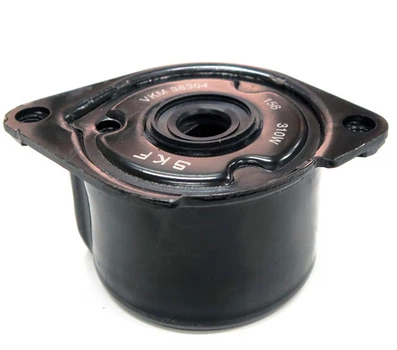 Натяжитель ремня SKF (VKM38304)