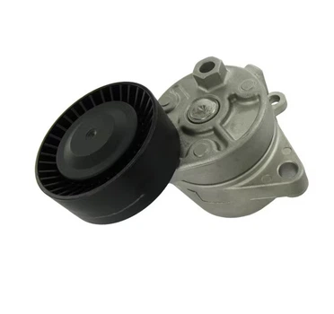 Натяжитель ремня SKF (VKM38202)