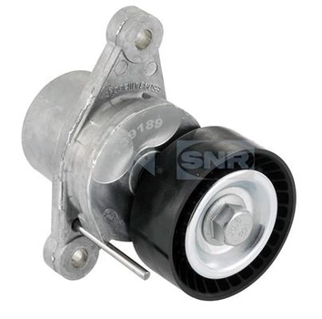 Натяжитель ремня SNR (GA359.26)