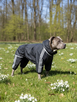 Дощовик для великих порід собак 4XL 58-60cm Стафф Піт Самоід Хаскі Лайка Dog's Happiness Чорний Дівчинка 0110-01/36