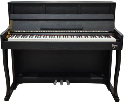 Pianino cyfrowe V-Tone PLF-256 BK