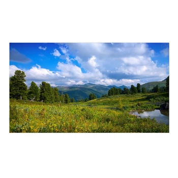LCD Видеопанель QUBE 55" FullHD 3.5mm Bezel (B55F60-35)