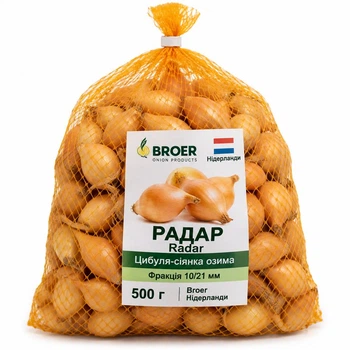 Лук севок Радар (Рейдер) озимый 500 г BROER