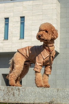Куртка Dogsbomba з екошкіри карамель K-101 розмір 4 (2000000100319)