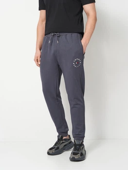 Спортивные штаны мужские Tommy Hilfiger 11824 2XL Темно-серые (smt2000000050737)