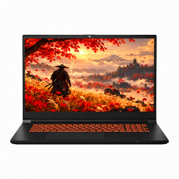 Ігровий ноутбук 17,3" Medion (Lenovo Group) Erazer Defender P20 | Intel Core i7-12700H | IPS (1920x1080) FullHD 144 Гц | RAM 16 ГБ | SSD 512 ГБ | RTX 3060, 6 ГБ | Підсвітка клавіатури | Win11 (5482) - Уцінка