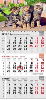 Календар настінний 2027 офісний 3. Котяча тріада