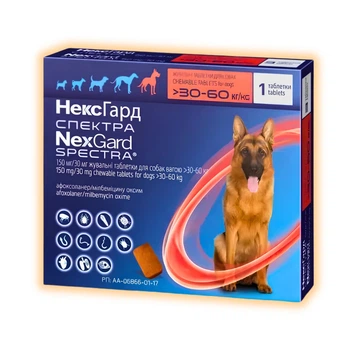 Таблетки NexGard Spectra від глистів, бліх і кліщів для собак усіх порід вагою 30 - 60 кг, 1 таблетка