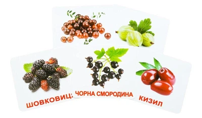 Карточки методика Глена Домина 20карточек ягоды (097034/А21)