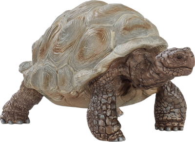 Фігурка Schleich Wild Life Гігантська черепаха 14824 (4055744033667)
