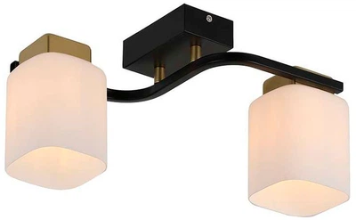 Люстра Blitz Е27 2x60W 8354-42