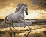 Картина за номерами Brushme кінь, 40x50 см (40*50/А21)
