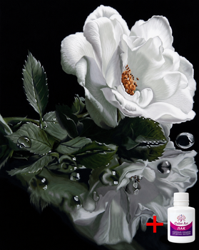 Алмазна мозаїка на підрамнику ColorArt 40х50 Біла троянда SPP123 + Подарунок лак для покриття
