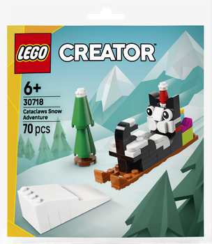 Zestaw klocków LEGO Creator Śnieżna przygoda Cataclaws 70 elementów (30718)