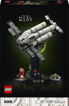 Конструктор LEGO Ideas Проект Аве Мария 830 деталей (11389)