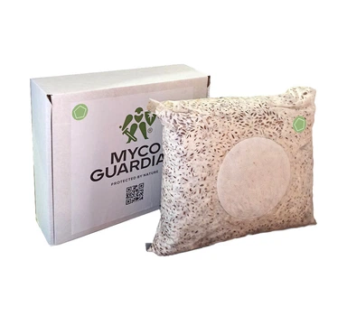 Биофунгицид, зерновой мицелий гриба Gliocladium Catenulatum, 4 л, ТМ Myco Guardian