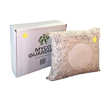 Биоинсектицид, зерновой мицелий гриба Paecilomyces Lilacinum, 4 л, ТМ Myco Guardian