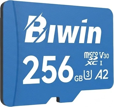 Карта пам'яті BIWIN TF 256 ГБ MS210