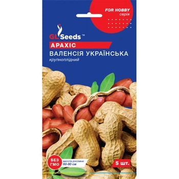 Арахіс Валенсія Українська 5 насінин GL Seeds Professional — насіння арахісу для вирощування на городі