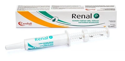 Препарат при захворюваннях нирок Candioli Renal P Paste - паста 15 мл