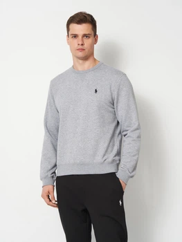 Світшот чоловічий Polo Ralph Lauren 11819 M Сірий (smt2000000050508)