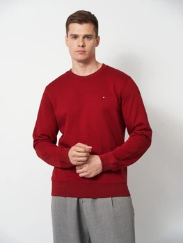 Світшот чоловічий Tommy Hilfiger 11832 M Бордо (smt2000000051154)