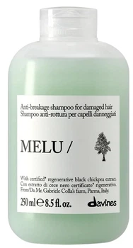 Шампунь Davines Melu для ламкого волосся 250 мл (8004608290322)