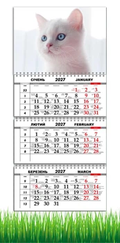 Календар настінний квартальний на 2027 рік на три пружини , Apriori , Білий котик, Кіт , 29,7х61см