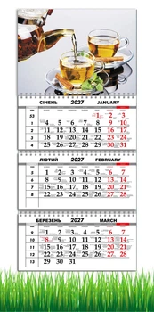 Календарь настенный квартальный на 2027 год на три пружины, Apriori , Чай , 29,7х61см