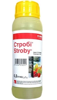 Фунгіцид Стробі 50% в.г. (200 г), BASF