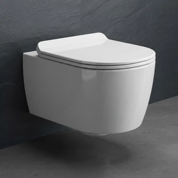 Подвесной унитаз Excellent Doto Pure Rim 550x365 овальный, с сидением, белый (CEAX.1404.545.WH)