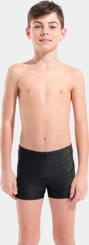 Плавки-шорты для мальчиков Arena PAINTERLY SWIM SHORT черный Дит 128 см