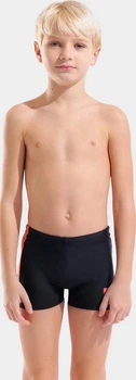 Плавки-шорты для мальчиков Arena LOGO SWIM SHORT черный Дит 152 см