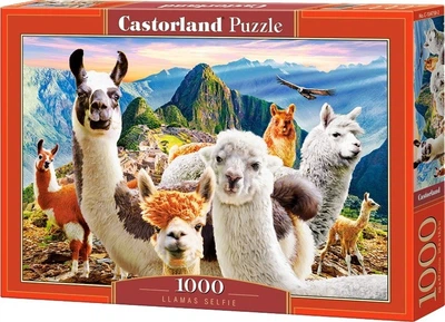 Puzzle Castorland Selfie lam 1000 elementów (5904438104758)