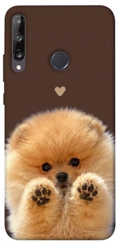 Чехол для Huawei P40 Lite E с принтом Spitz on the screen
