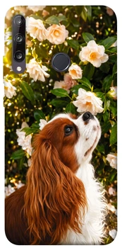 Чехол для Huawei P40 Lite E с принтом Flower spaniel