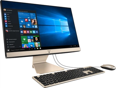 Моноблок Asus Vivo AiO V222GAK-BA002R (90PT0211-M00920)