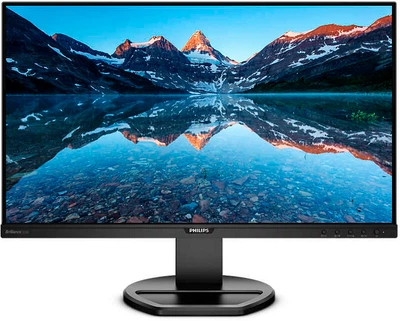 Монітор 25" Philips 252B9 (252B9/00)