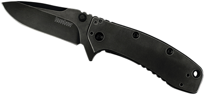 Карманный нож Kershaw Cryo II SS Folder Blackwash 1556BW (1740.01.64)