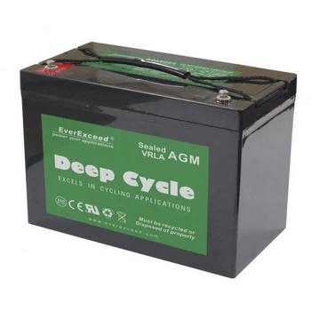 Аккумулятор AGM EverExceed DP-12100