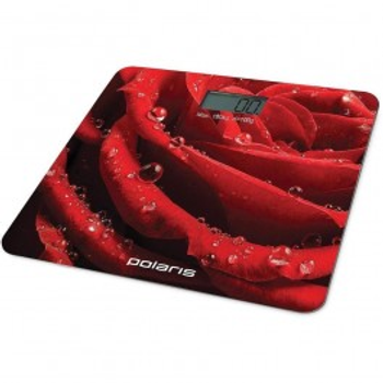 POLARIS PWS 1869DG (5055539134264)