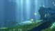 Abzu (PS4, русские субтитры) - изображение 3