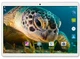 Планшет-телефон Adronix MT232 3G Silver 2/32GB + Чехол-книжка + Карта памяти 64GB - изображение 3