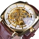 Механические часы с автоподзаводом Forsining (brown-gold) - изображение 1