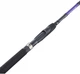 Вудлище спінінгове Balzer Xanadu 210 м 10-40 г (11110 210) - зображення 2